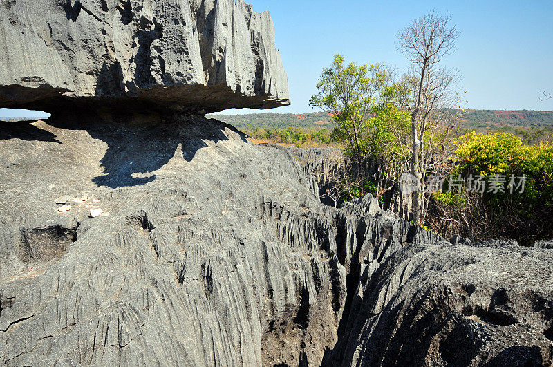 马达加斯加的Tsingy de Bemaraha